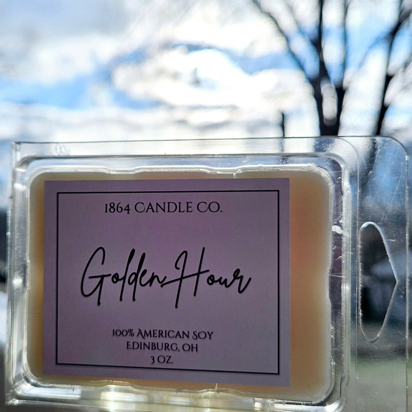 100% Soy Wax Melts